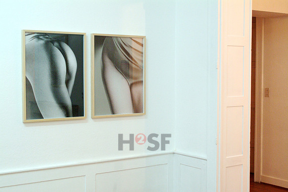 110530SH036H2SF
