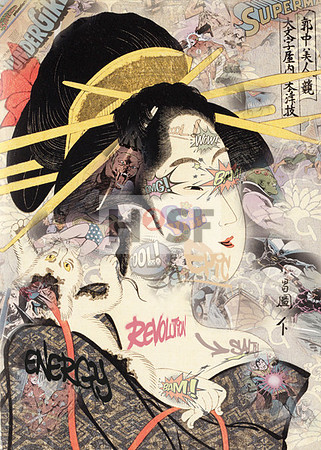Grafik_04_Trolling Geisha