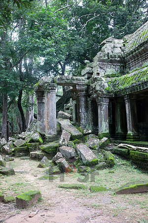 111016SH214H2SF.JPG