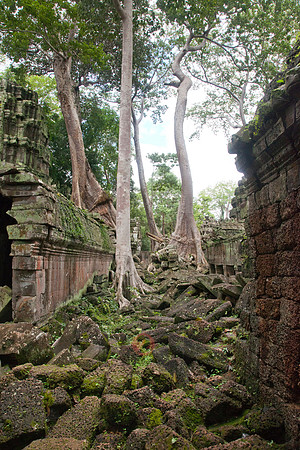 111016SH165H2SF.JPG