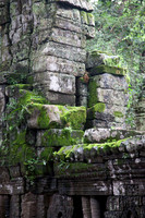 111016SH067H2SF.JPG