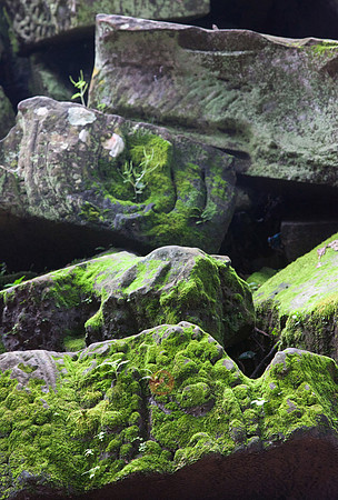 111016SH093H2SF.JPG