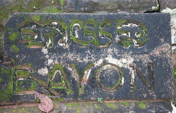 111016SH153H2SF.JPG
