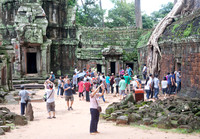 111016SH036H2SF.JPG