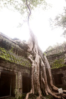111016SH030H2SF.JPG