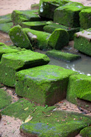 111016SH068H2SF.JPG