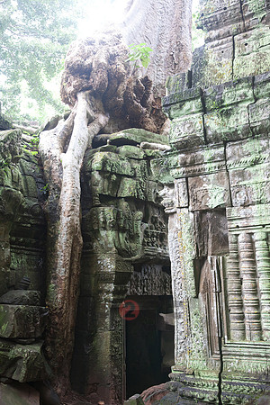 111016SH123H2SF.JPG