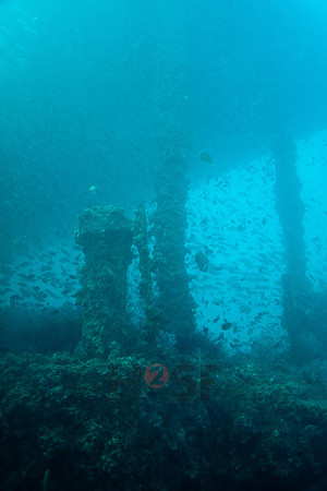 091215SH259.JPG
