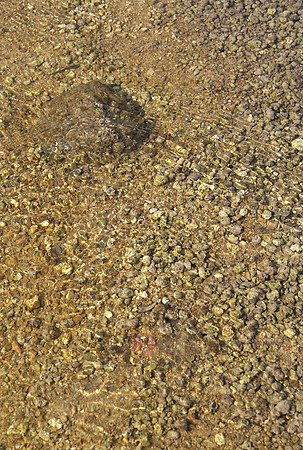 100529SH087.JPG
