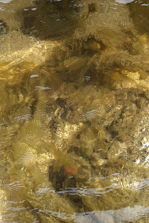 100529SH002.JPG