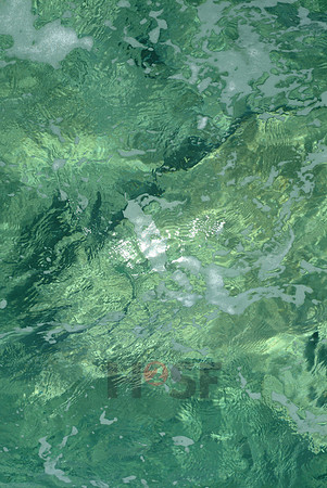 100529SH097.JPG