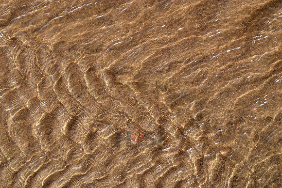 100529SH052.JPG