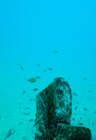 091215SH256.JPG