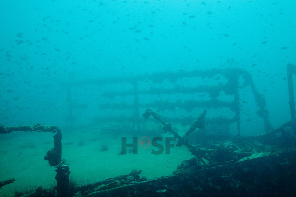 091215SH264.JPG