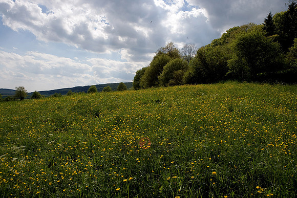 100801SH467.JPG