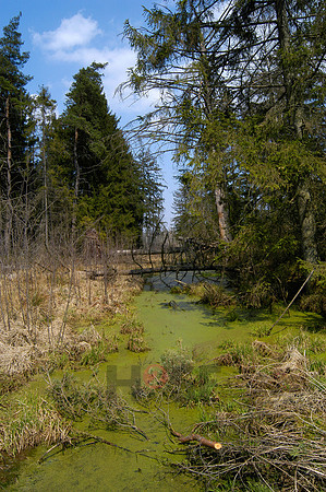100801SH525.JPG
