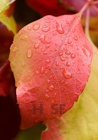 100801SH513.JPG