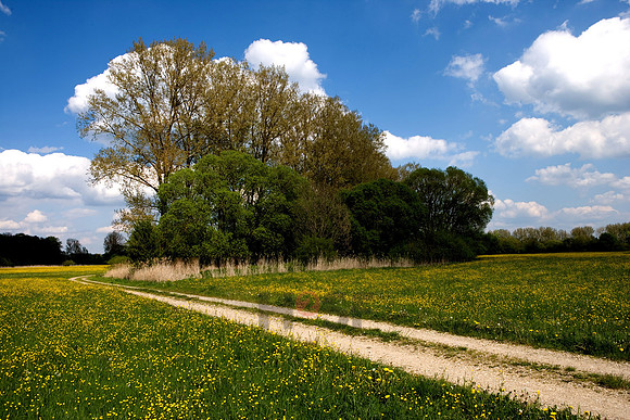 100801SH465.JPG