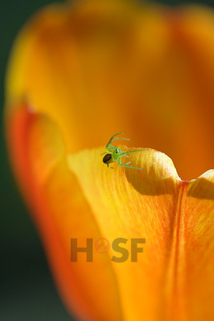 100801SH456.JPG