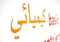 110604SH013H2SF