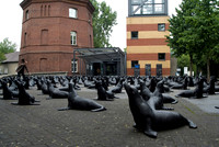 100730SH053.JPG