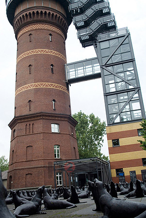 100730SH055.JPG