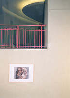 Rosenthaltheater04
