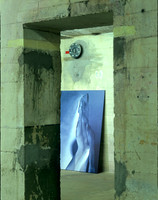 110415SH017