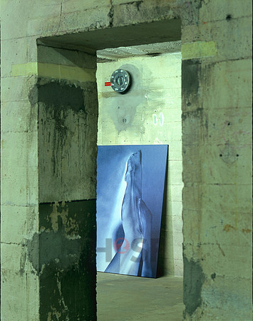 110415SH017