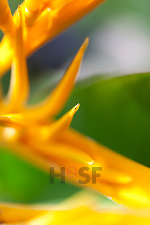 110204SH021