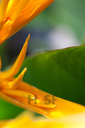 110204SH022