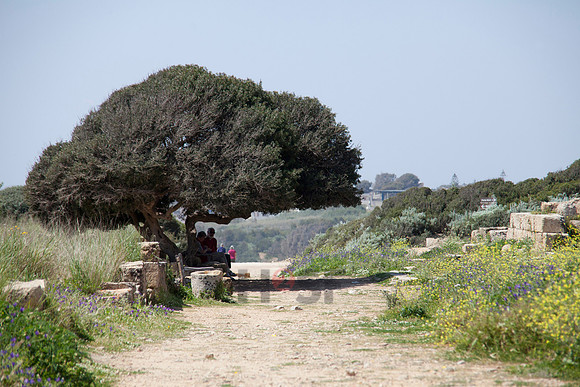 110512SH339