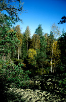 100901SH017.JPG