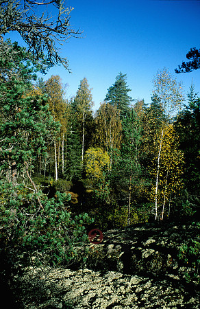 100901SH017.JPG