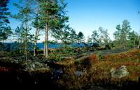 100901SH018.JPG