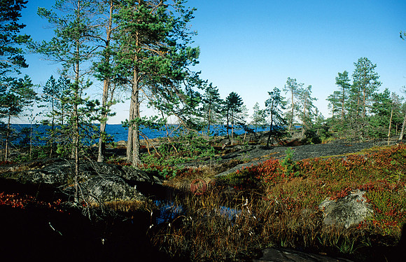 100901SH018.JPG