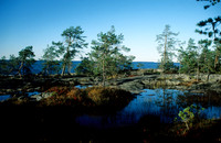 100901SH019.JPG