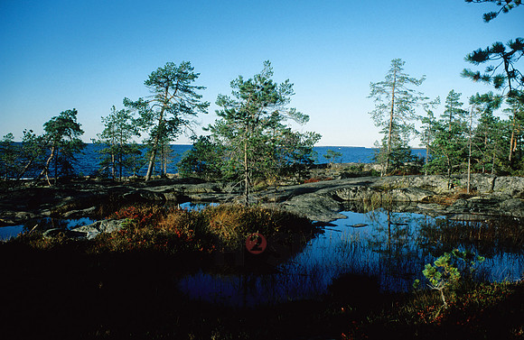 100901SH019.JPG