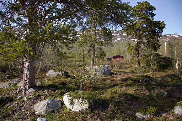 101109SH034.JPG