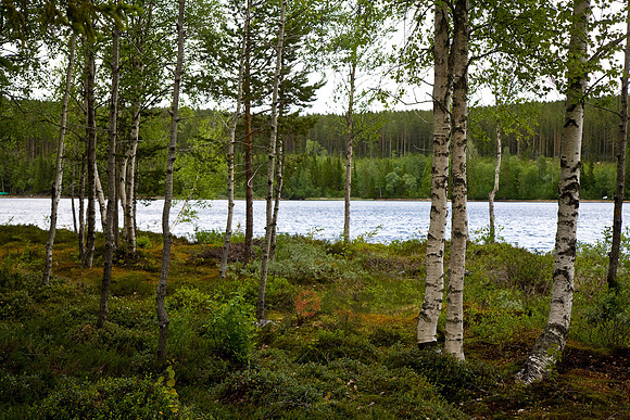 101109SH029.JPG