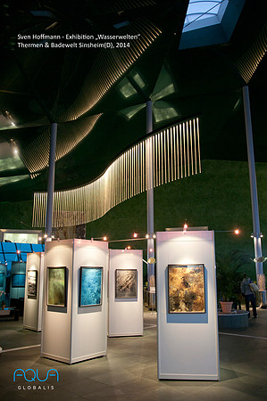 2014_Sinsheim