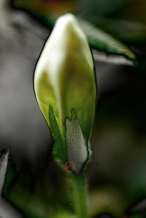 100118SH016
