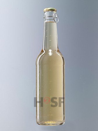 100304SH010