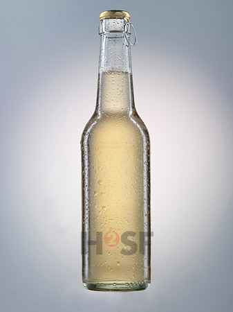100304SH011