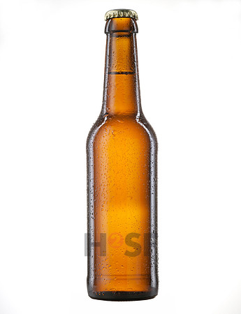 100304SH006
