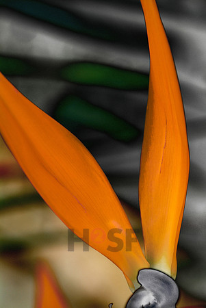100118SH002