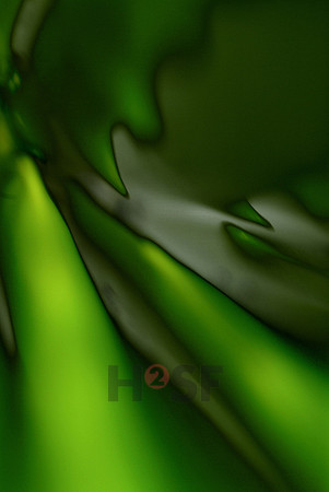 100118SH014