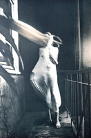 Lichtdruck, Balkonszene, 1984,