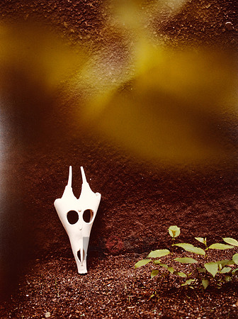 Szekessy_Paul Wunderlich_30