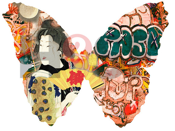 Butterfly_05_Japan 3
